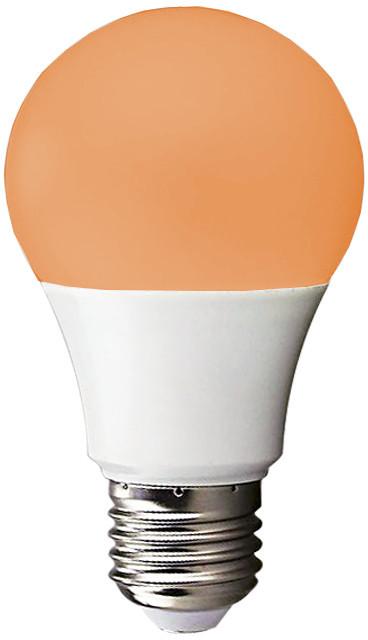 Light Bulb Orange